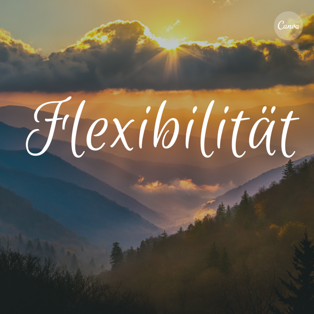 Mein Jahresmotto 2021: Flexibilität