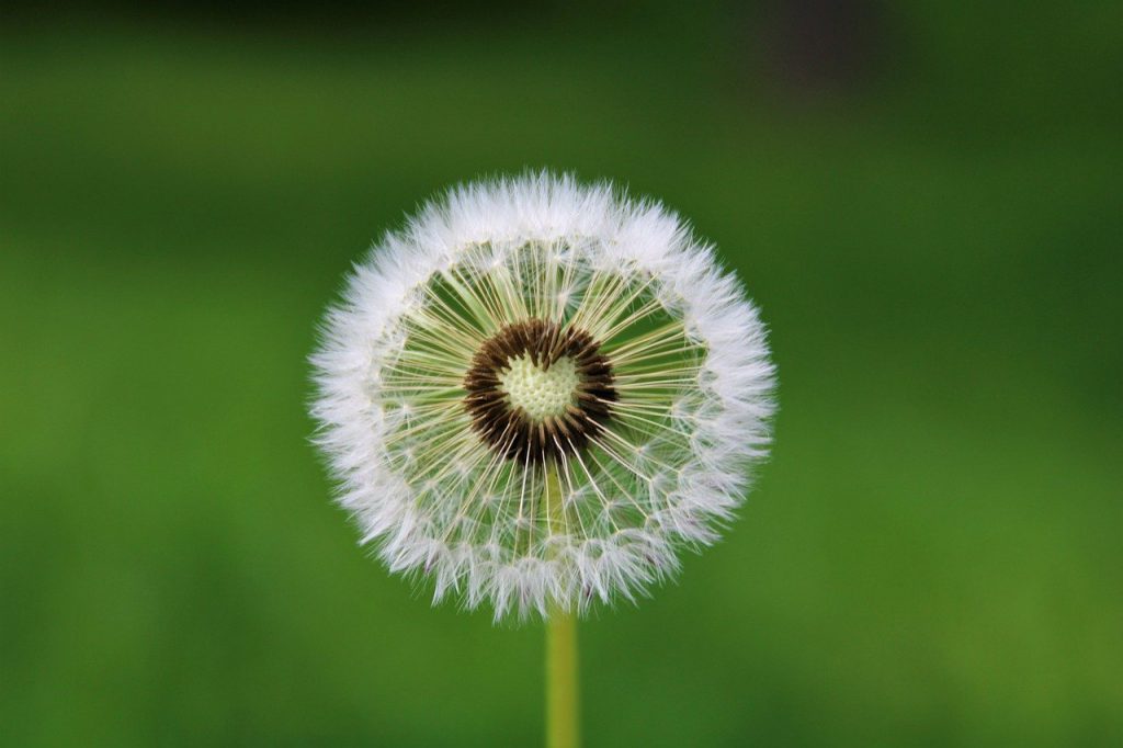 Was bedeutet Stressmanagement für mich?