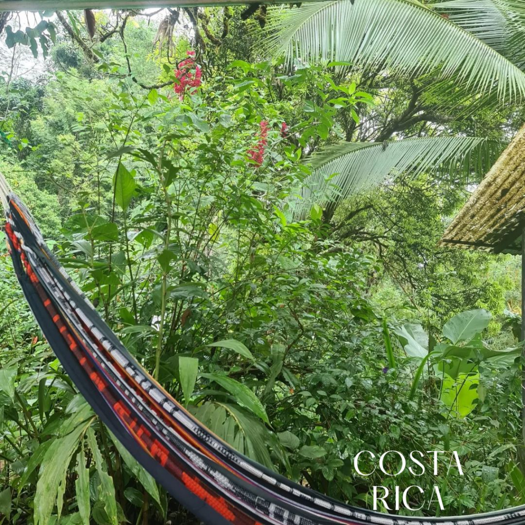 Urwald in Costa Rica mit Hängematte